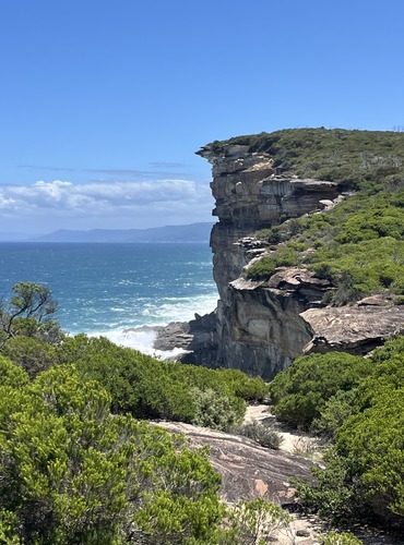 Home Coastal cliffside with lush green vegetation overlooking the ocean, symbolising EcoDream Climber's secure and eco-friendly email hosting services that keep your communications safe and sustainable.